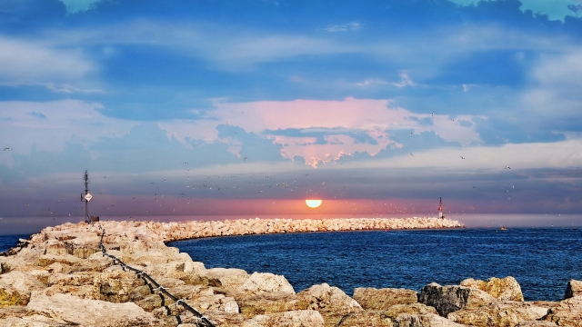 屋顶草坪绿化：城市发展中的绿化先锋，特点揭秘！